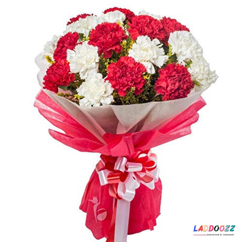 Fresh flowers Bouquet of 20 Mix carnations in Red and White